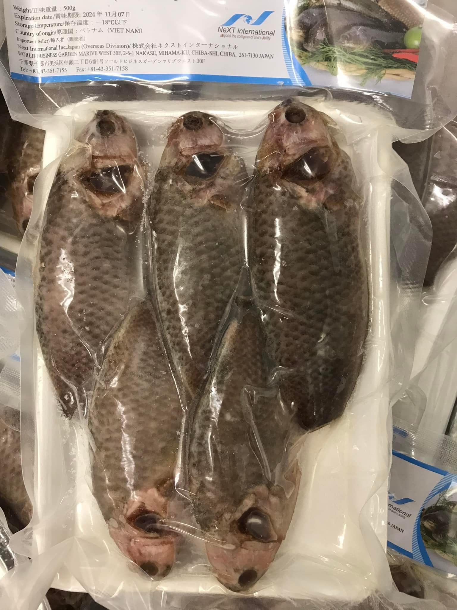 冷凍クライミングパーチ・CÁ RÔ ĐỒNG・鲈鱼