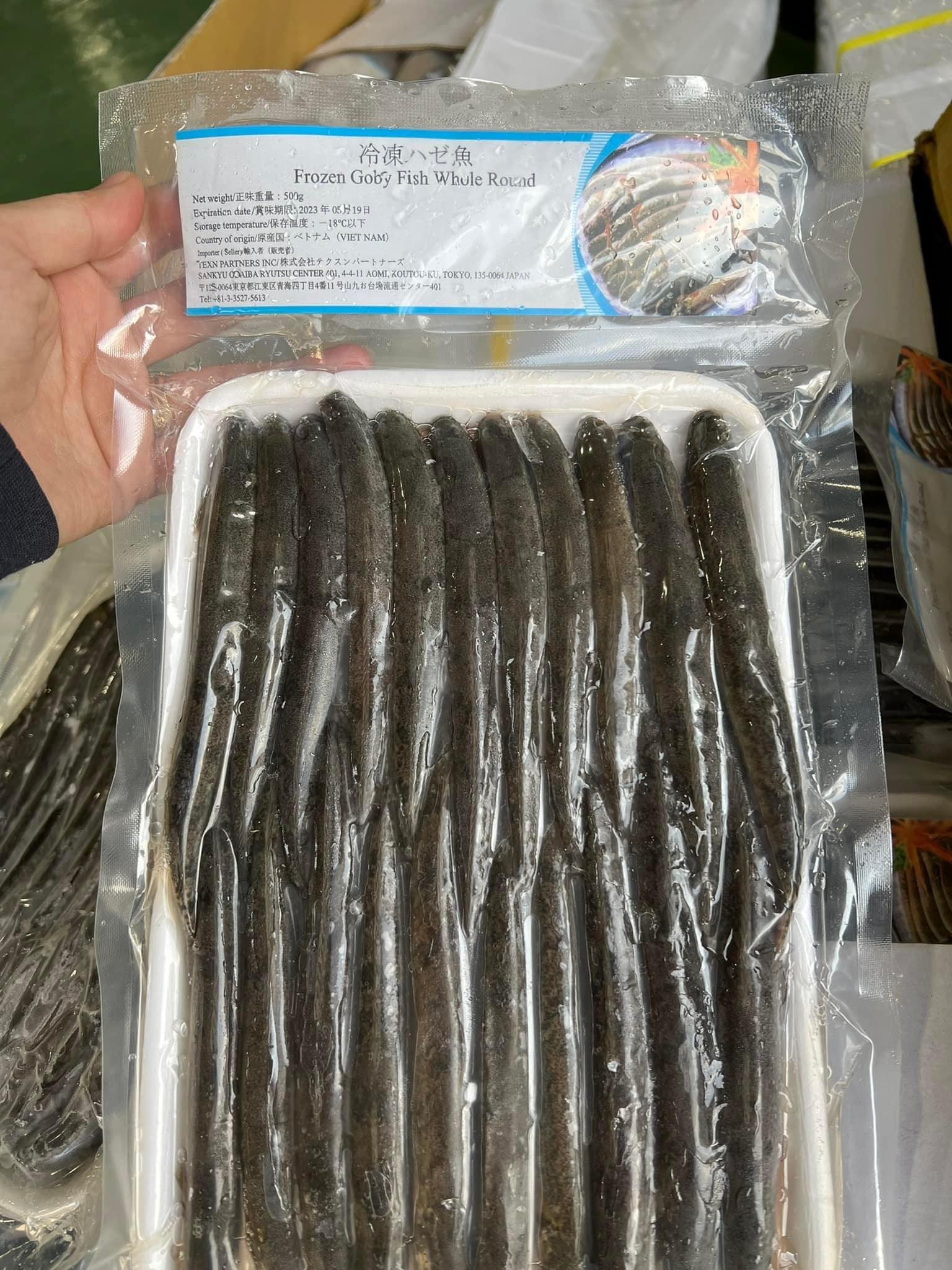 冷凍ハゼ・CÁ KÈO・虾虎鱼 (売切・Hết hàng)