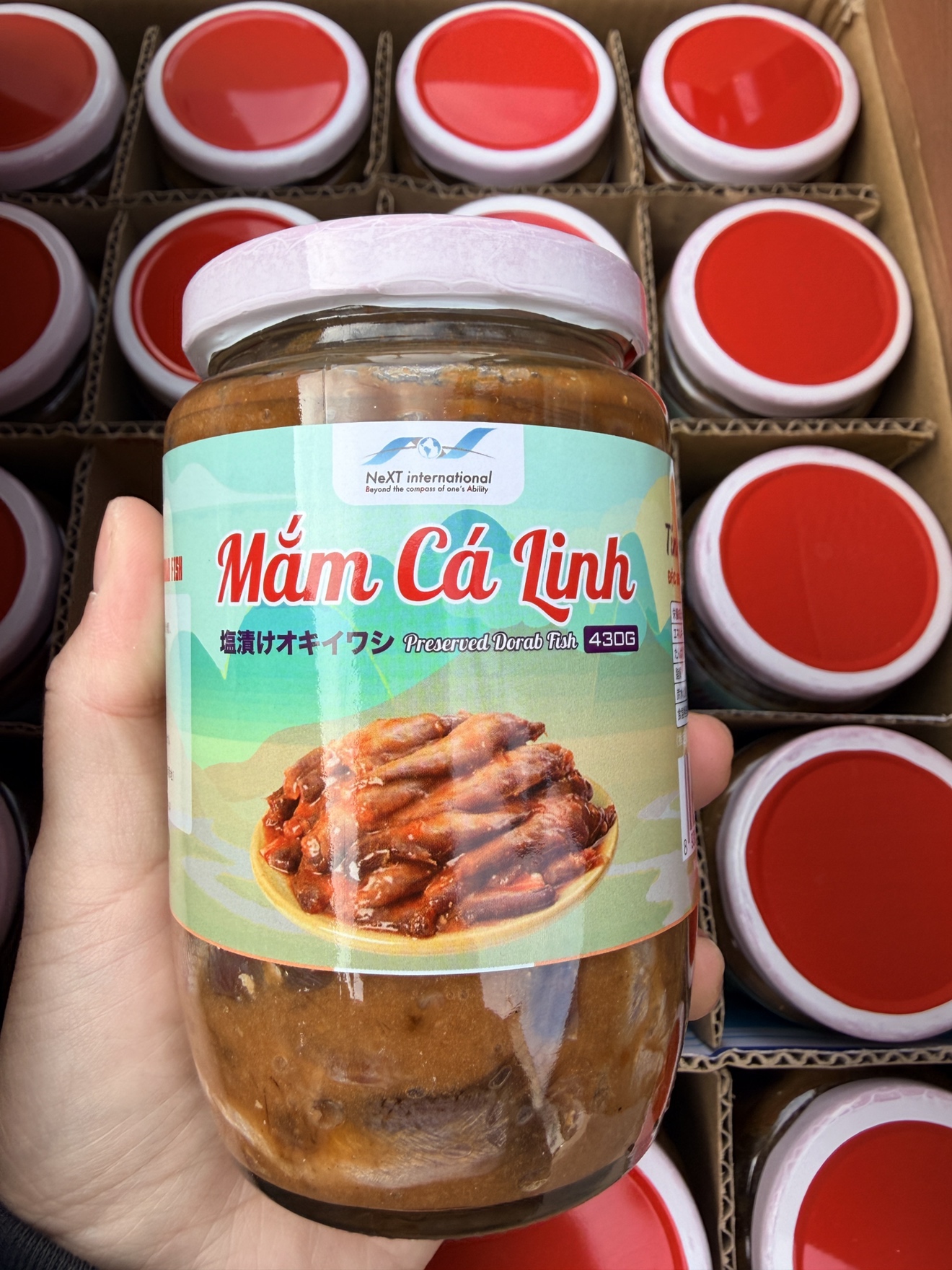 塩漬けオキイワシ・MẮM CÁ LINH