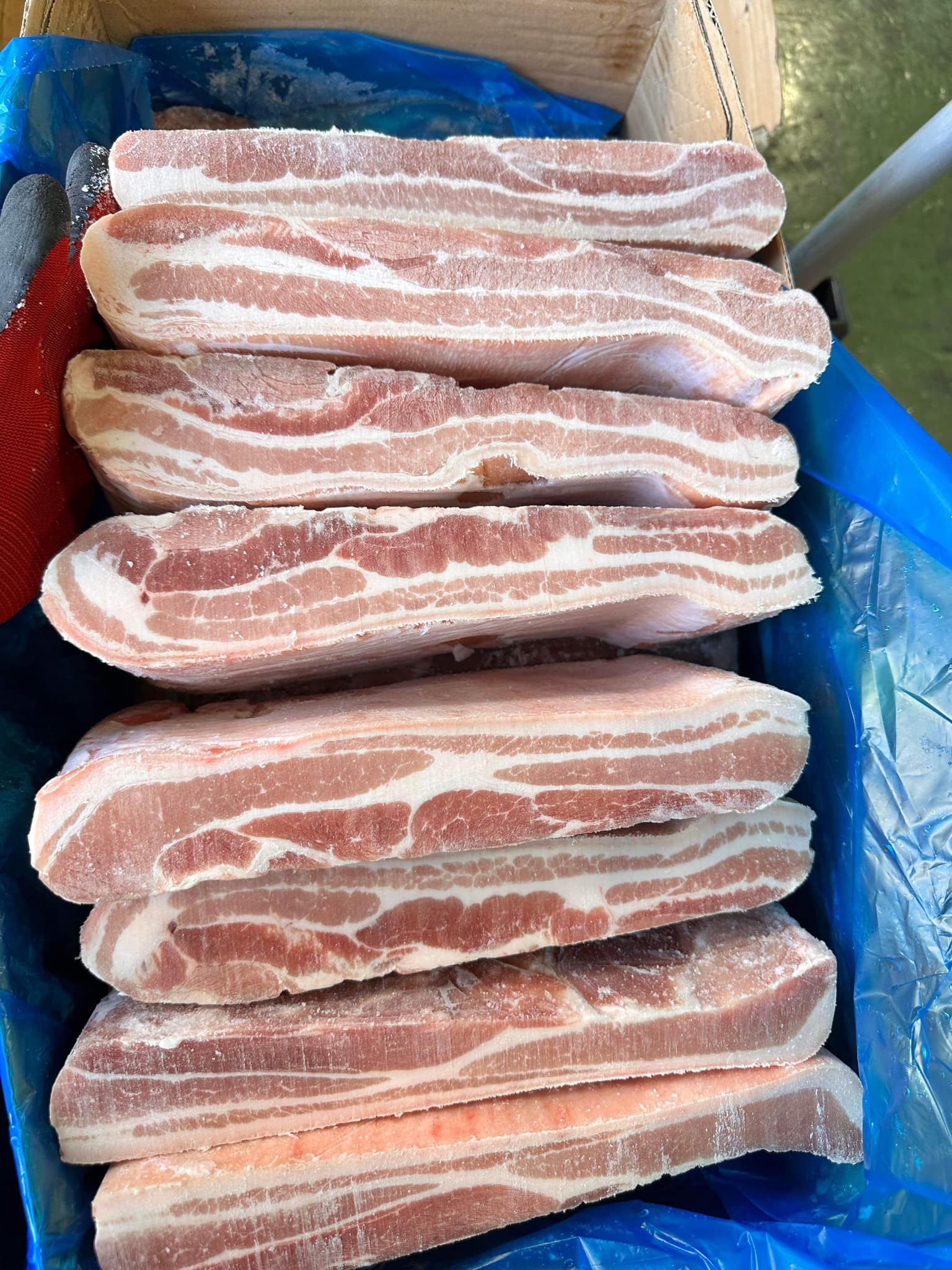 冷凍豚バラ（皮付き）17kg 〜 21kg・ THỊT LỢN BA CHỈ CÓ DA